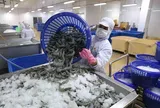 Vì sao nông thủy sản Việt xuất khẩu sang Úc bị chậm kiểm dịch, thông quan?