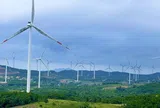 Điện gió Quảng Trị cắt giảm công suất, hướng đi nào cho phát triển năng lượng tái tạo bền vững?