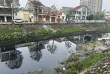 Nghệ An: Kênh Bắc “đen như mực”, người dân khổ sở sống chung với ô nhiễm