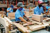 Ngành gỗ Việt Nam “né” cú sốc thuế Hoa Kỳ đầu năm 2026