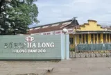 Đồ hộp Hạ Long đang kinh doanh ra sao?