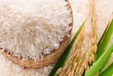 Gạo thơm và gạo chất lượng cao trở thành trụ cột trong xuất khẩu 2026