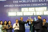 ST25 nhận Cúp gạo ngon nhất thế giới 2025, khẳng định vị thế gạo Việt