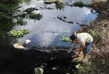 Quảng Ngãi: Dòng kênh thủy lợi đổi màu nước đen, bốc mùi hôi nồng nặc