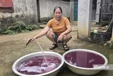 Nước giếng khoan chuyển màu tím, bốc mùi hôi tanh: Đã tìm ra "thủ phạm"