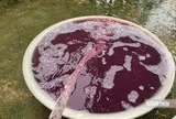 Vụ nước giếng khoan chuyển màu tím, hôi tanh: Kết quả xét nghiệm nhiều chỉ số vượt chuẩn hàng chục lần