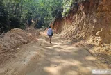 Huế lập tổ kiểm tra vụ khai thác gần 40ha rừng chưa đủ hồ sơ pháp lý