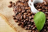 Giá cà phê hôm nay 13/5/2026: Nội địa bật tăng, giá thế giới trái chiều