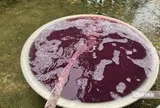 Vụ nước giếng khoan đổi màu tím, hôi tanh: Xử phạt công ty giặt là 1,5 tỷ đồng