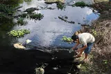 Quảng Ngãi: Dòng kênh thủy lợi đổi màu nước đen, bốc mùi hôi nồng nặc