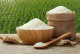 Giá lúa gạo hôm nay 15/5/2026: Biến động nhẹ
