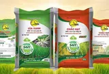 Phân bón 2Phong đặt mục tiêu doanh thu hơn 1.600 tỷ đồng năm 2026, tăng tốc tái cấu trúc và mở rộng thị trường