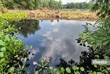 Sông Vàm Cỏ Đông đổi màu đen: Điều gì đang xảy ra?