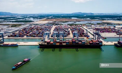 Nhiều doanh nghiệp cảng biển đi lùi trong năm 2022