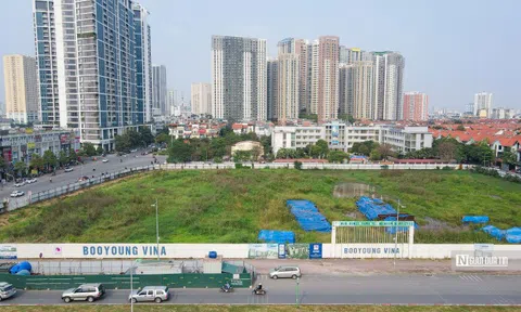 Cây cỏ mọc um tùm bên trong siêu dự án gần 4.000 tỷ đồng của Booyoung