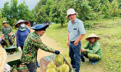 HAGL thanh toán thêm 824 tỷ đồng gốc trái phiếu