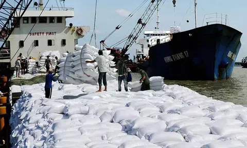 Chính phủ ban hành Quy định mới về kinh doanh xuất khẩu gạo