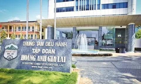 Hoàng Anh Gia Lai giải thể công ty con