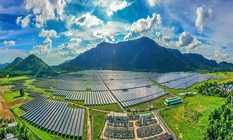 Năng lượng tái tạo Việt Nam nhận diện những vướng mắc và giải pháp tháo gỡ tạo sức hút doanh nghiệp