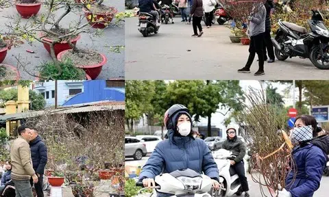 Thị trường Tết hàng hóa phong phú nhiều chương trình khuyến mại thu hút người tiêu dùng