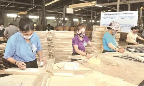 Xuất khẩu gỗ và lâm sản Việt Nam bắt nhịp xu hướng xanh để bứt tốc xuất khẩu