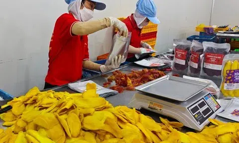 Xuất khẩu rau quả Việt Nam cần những bước chuyển mới để bứt tốc xuất khẩu 8 tỷ USD năm 2025