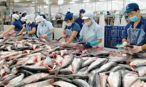 Đa dạng hóa thị trường, đẩy mạnh chế biến sâu trong bối cảnh rủi ro thương mại gia tăng
