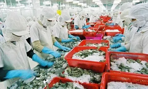 Hoa Kỳ là thị trường xuất khẩu chủ lực nông, lâm, thủy sản của Việt Nam 5 tháng đầu năm