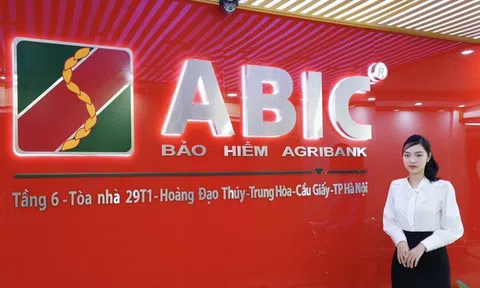 ABIC muốn tăng vốn lên hơn 1.000 tỷ đồng, trả cổ tức tỉ lệ 20%