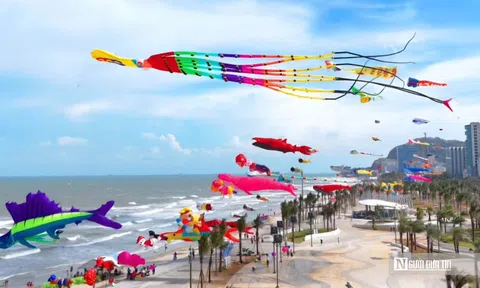 Gần 3.000 tỷ đồng vốn dự phòng của Bà Rịa - Vũng Tàu sẽ “chảy” về những công trình nào?