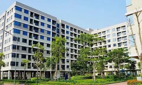 Giá thuê nhà tăng cao khiến CPI tháng 5 tăng 0,16%