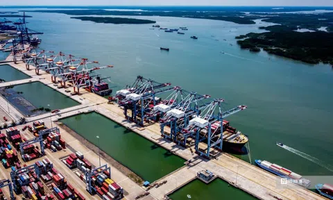 Thị trường logistics ASEAN duy trì linh hoạt trước những biến động quốc tế