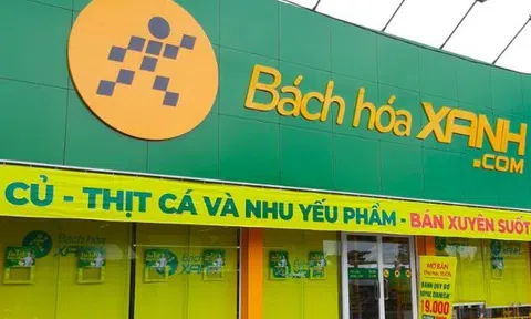 MWG mang về hơn 61.000 tỷ đồng doanh thu, vượt kế hoạch mở mới 400 cửa hàng Bách hóa Xanh