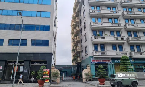 Cha con Tổng Giám đốc DVC sang tay hơn 4 triệu cổ phiếu