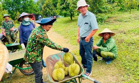 Bầu Đức hé lộ HAGL có thể lãi kỷ lục 2.500 tỷ đồng năm 2025