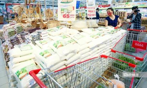 Lạm phát cơ bản 6 tháng đầu năm 2025 tăng 3,16%