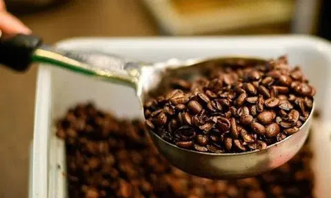 Giá cà phê hôm nay 6/7/2025: Đồng loạt tăng gần 1.000 đồng/kg