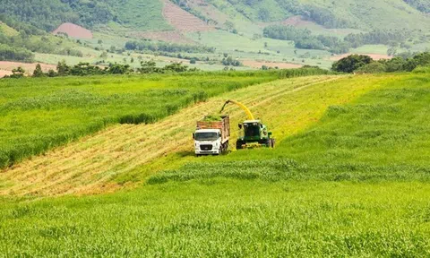 Quảng Ninh: Một nhà đầu tư đề xuất dự án 5 tỷ USD tại KCN Hải Hà