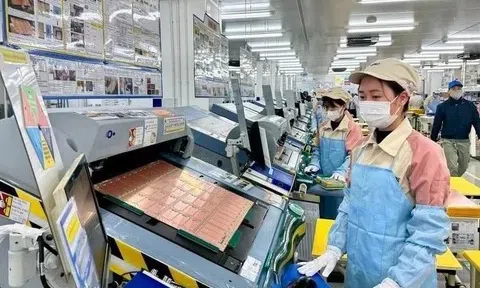 24,4 nghìn doanh nghiệp thành lập mới trong tháng 6