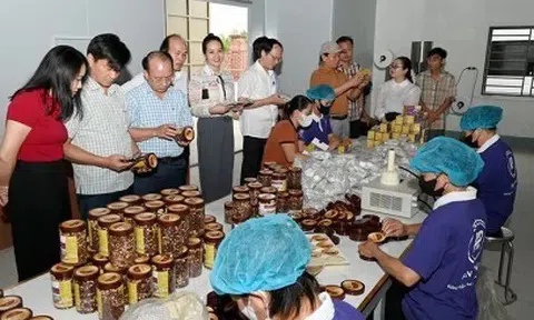 Sản phẩm OCOP góp phần thúc đẩy kinh tế nông thôn phát triển