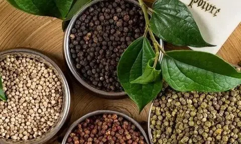 Giá tiêu hôm nay 9/7/2025: Tiêu trong nước giảm không đồng đều