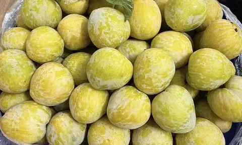 Mận cau Trung Quốc "gây sốt" chợ Việt: Giá 450.000 đồng/kg mà vẫn cháy hàng!