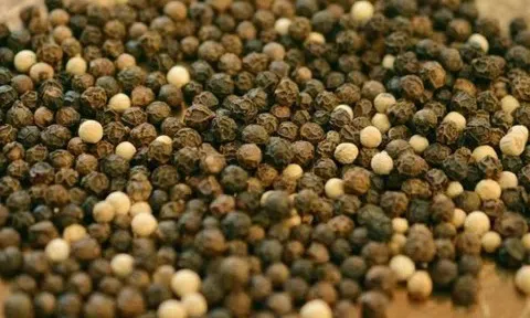 Giá tiêu hôm nay 10/7/2025: Giữ vững phong độ ở ngưỡng 140.000 - 142.000 đồng/kg