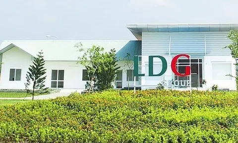 Bất chấp nằm trong diện kiểm soát, cổ phiếu LDG vẫn tăng trần 11 phiên