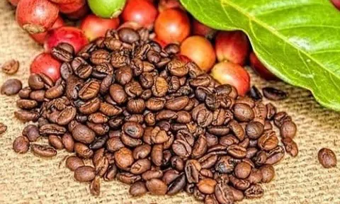 Giá cà phê hôm nay 16/7/2025: Tăng kịch trần, tiến về đỉnh 100.000 đồng/kg