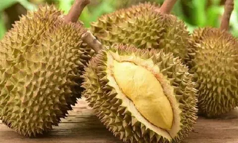Giá sầu riêng hôm nay 17/7/2025: Có chiều hướng tăng nhẹ