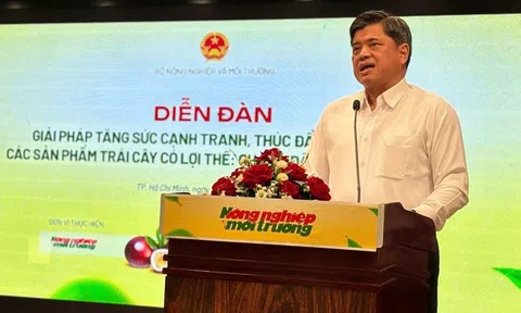 Thứ trưởng Trần Thanh Nam: Trái cây Việt không thể đi xa nếu cứ sản xuất nhỏ lẻ, manh mún