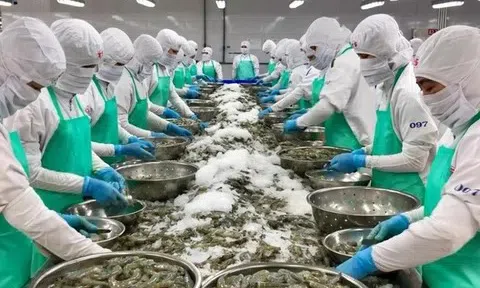 Chinh phục thị trường Hoa Kỳ thông qua hoạt động xúc tiến thương mại chuyên sâu