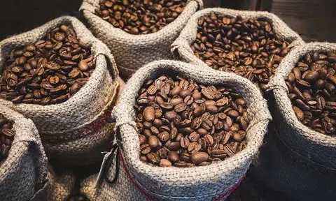 Giá cà phê hôm nay 19/7/2025: Giao dịch yếu, giá lùi về 117.000 đồng/kg