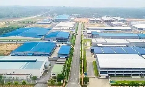 Nghệ An: Những kỳ vọng lớn về nguồn năng lượng sạch từ 2 nhà máy vừa được khởi công